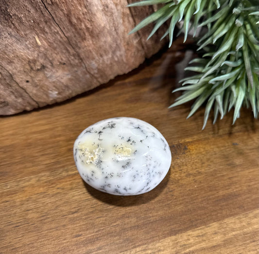 Dendritic Agate Palm Stone