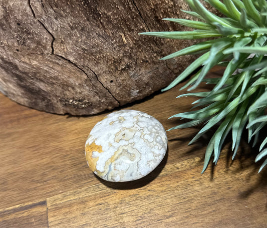 Flower Agate Palm Stone