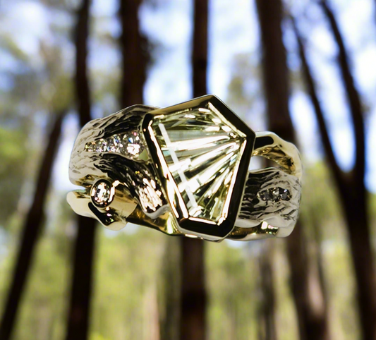 Forest Walk 1