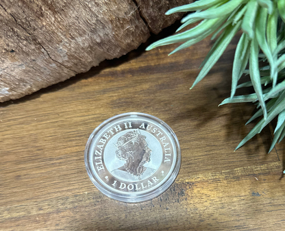 Perth Mint 1oz Silver Coin Australian Kookaburra Bullion • 2019
