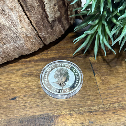 Wombat - Perth Mint 1oz Silver Coin • 2023