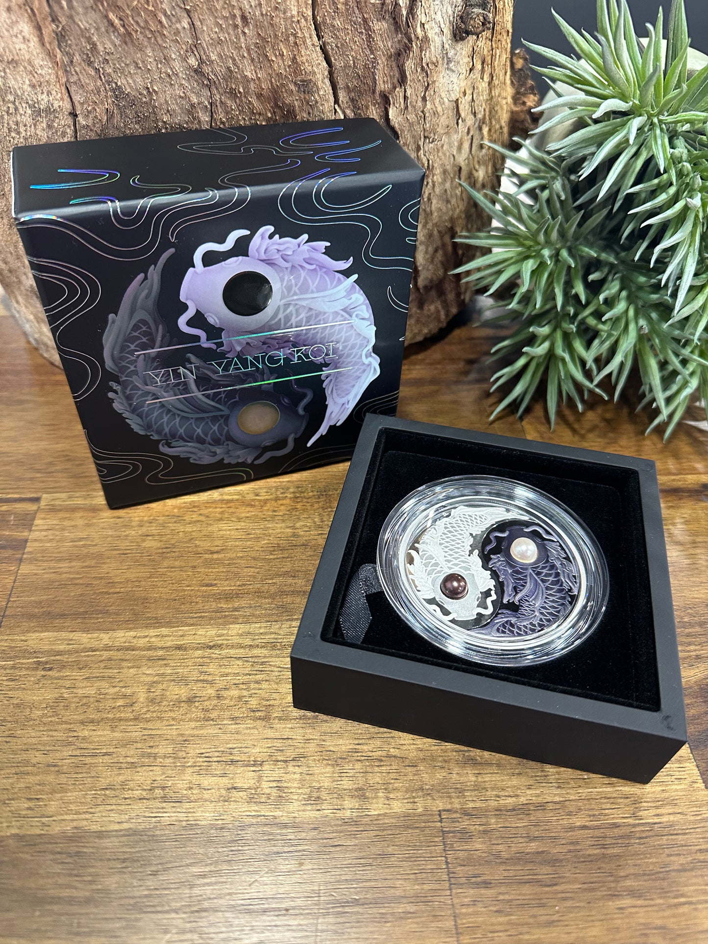 Yin Yang Koi 5oz Silver Proof Coloured Coin with Pearls • 2024
