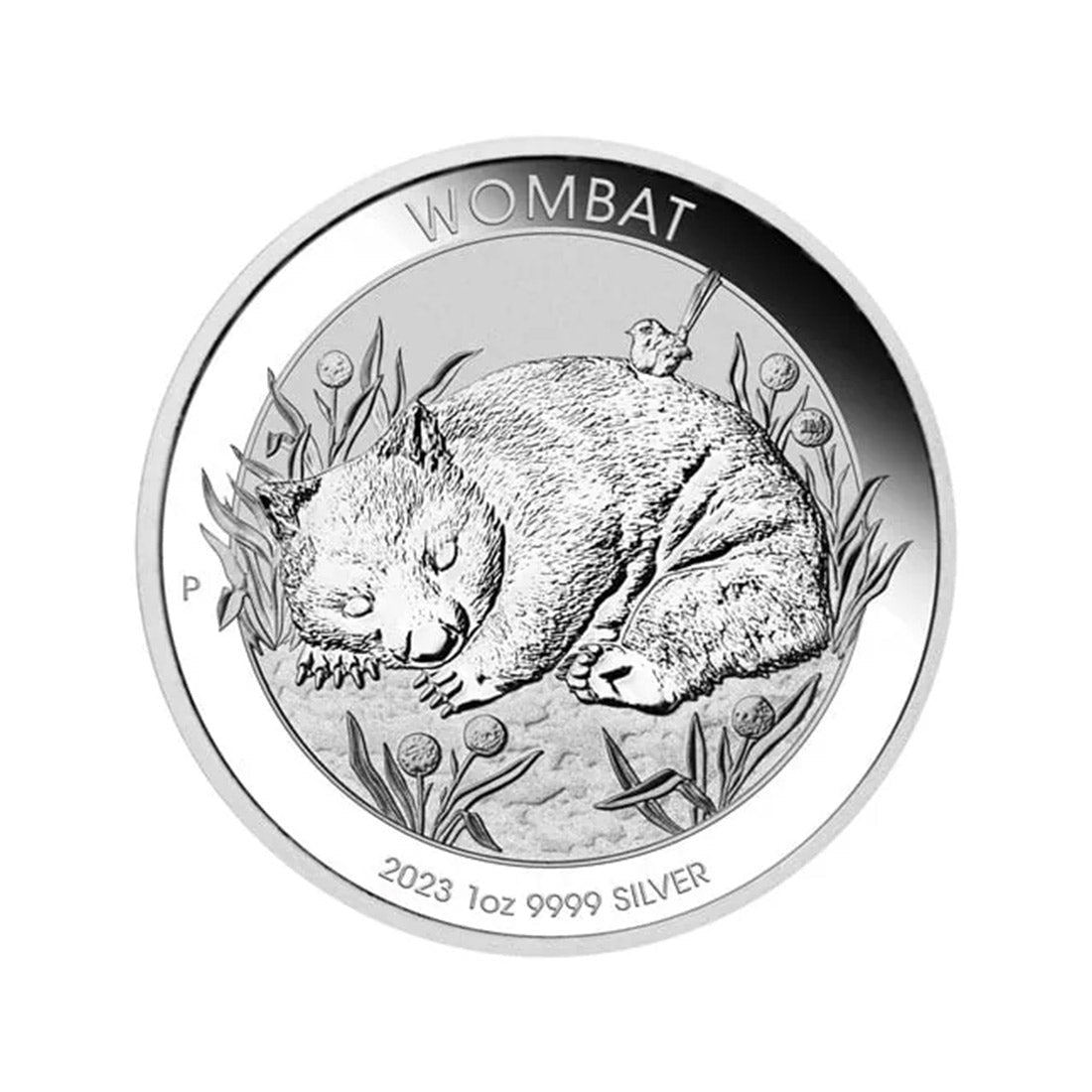 Wombat - Perth Mint 1oz Silver Coin • 2023